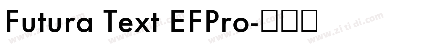 Futura Text EFPro字体转换